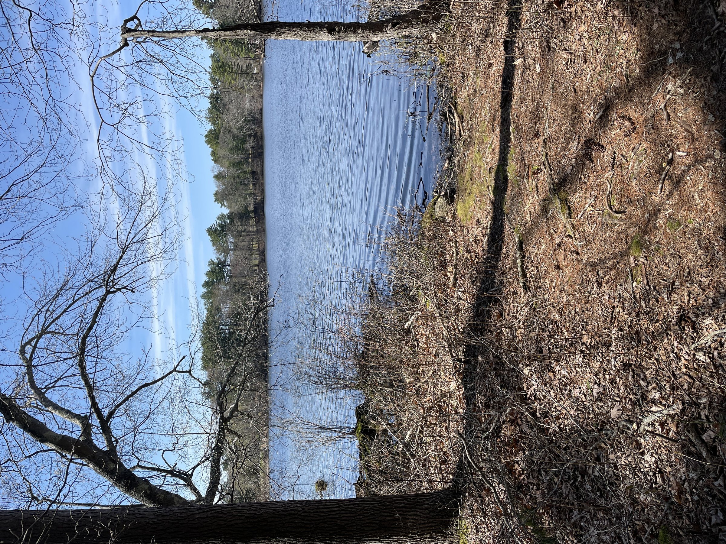 Bonney Hill Trail Conservation Area