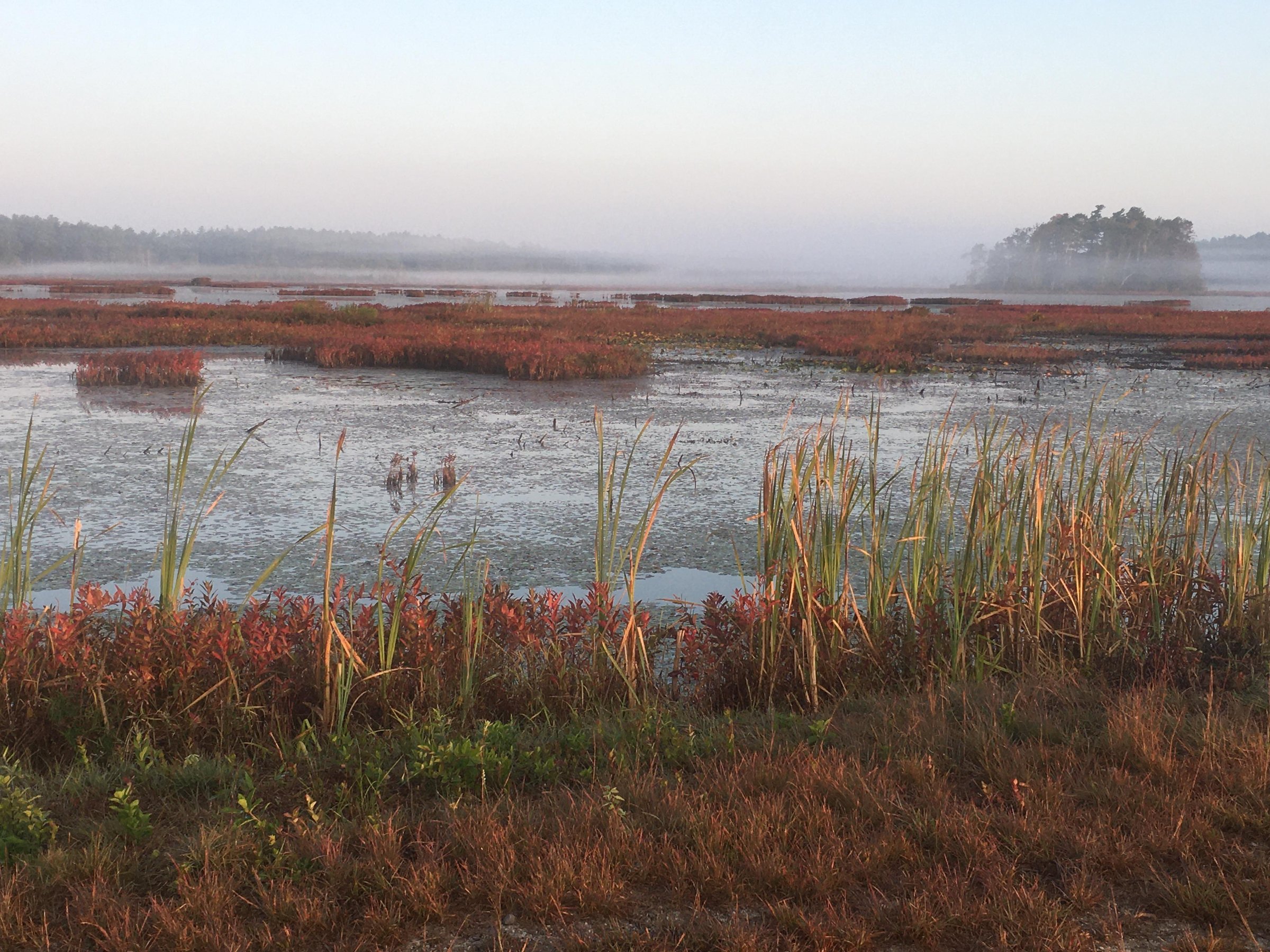Burrage Pond Conservation Area