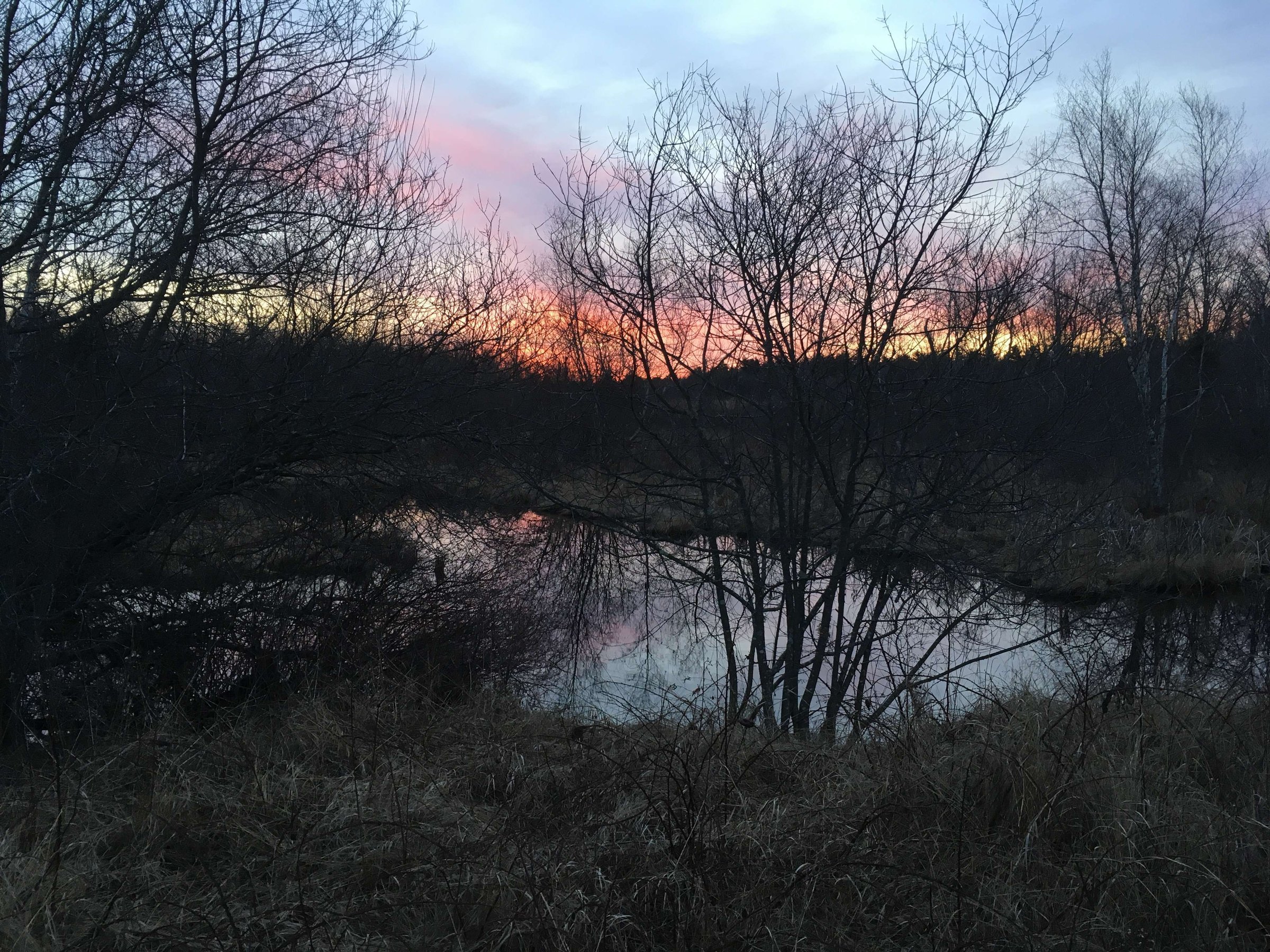 Burrage Pond Wildlife Management Area