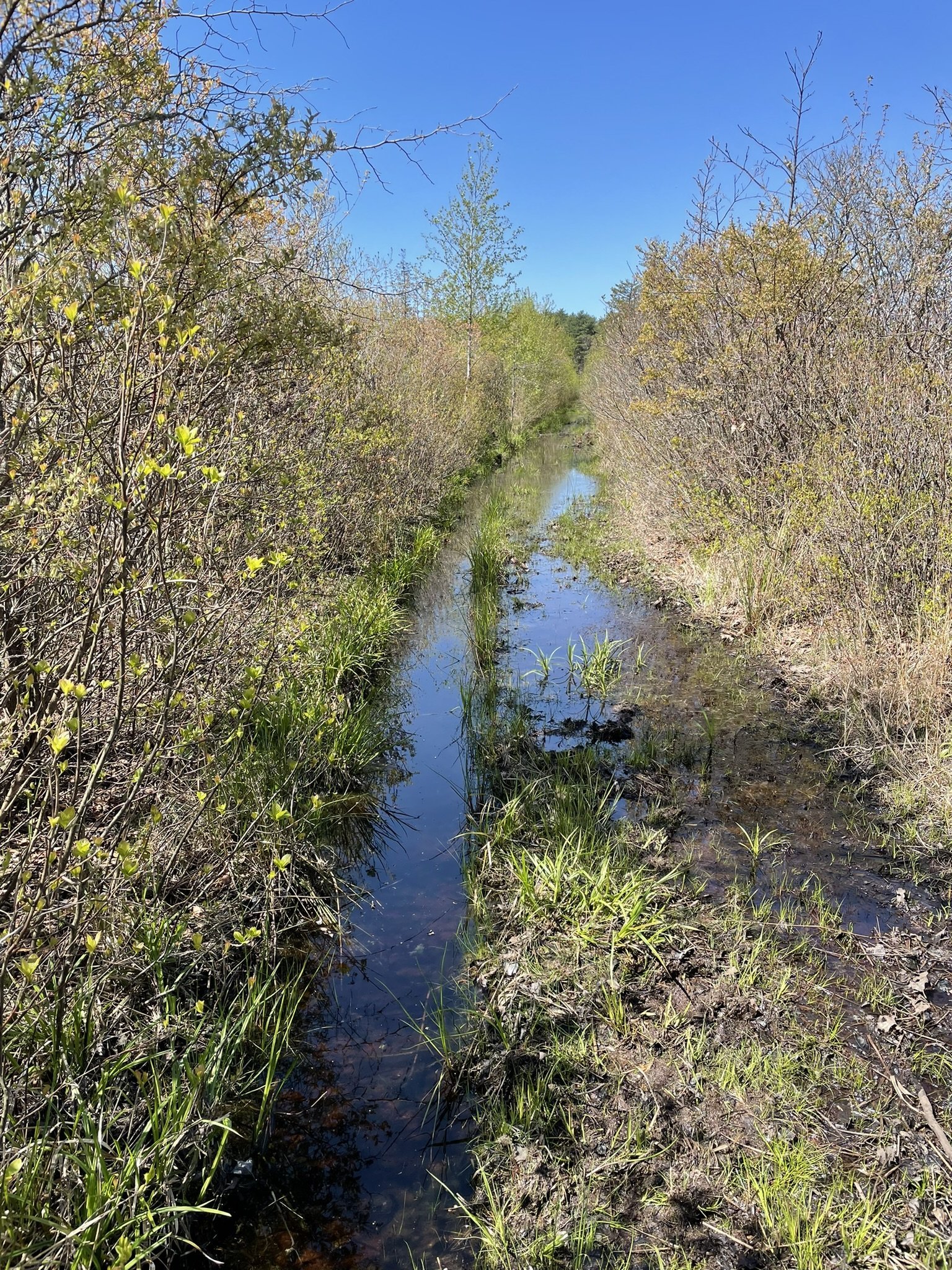 Indian Crossway Conservation Area