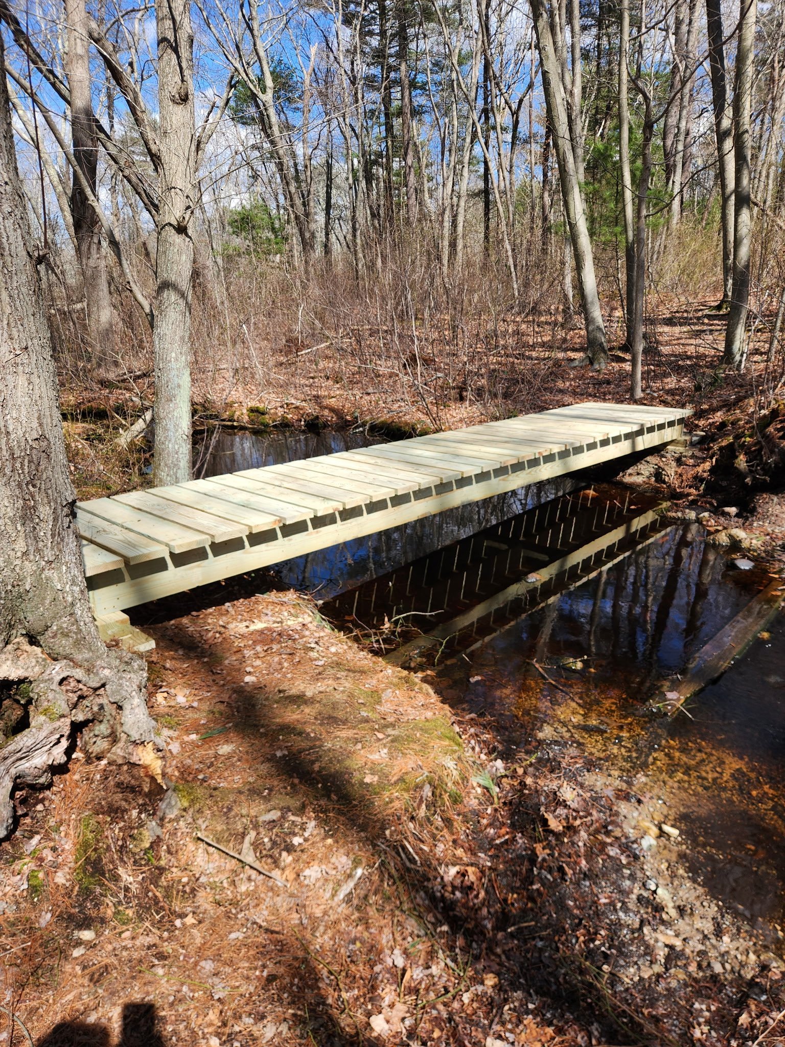 Philip Clemons Conservation Area