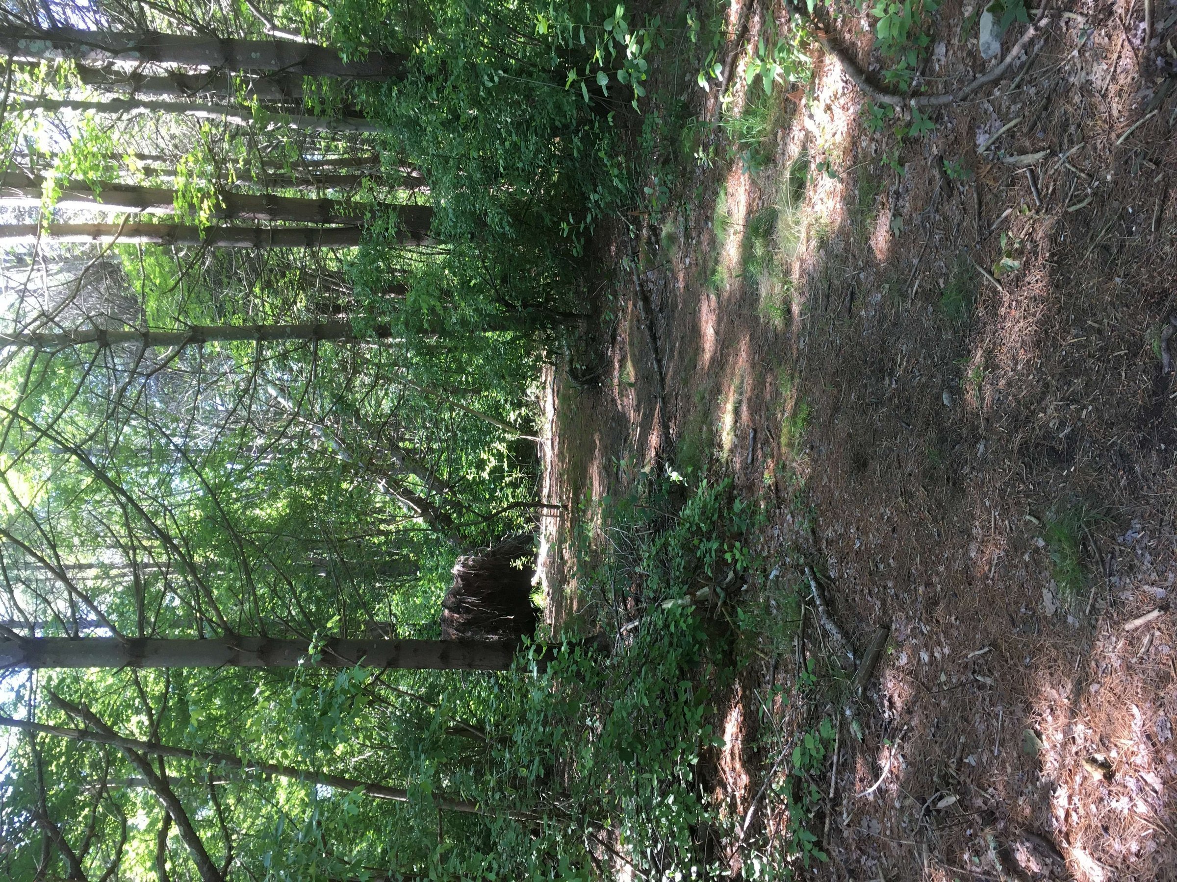 Poor Meadow Conservation Area