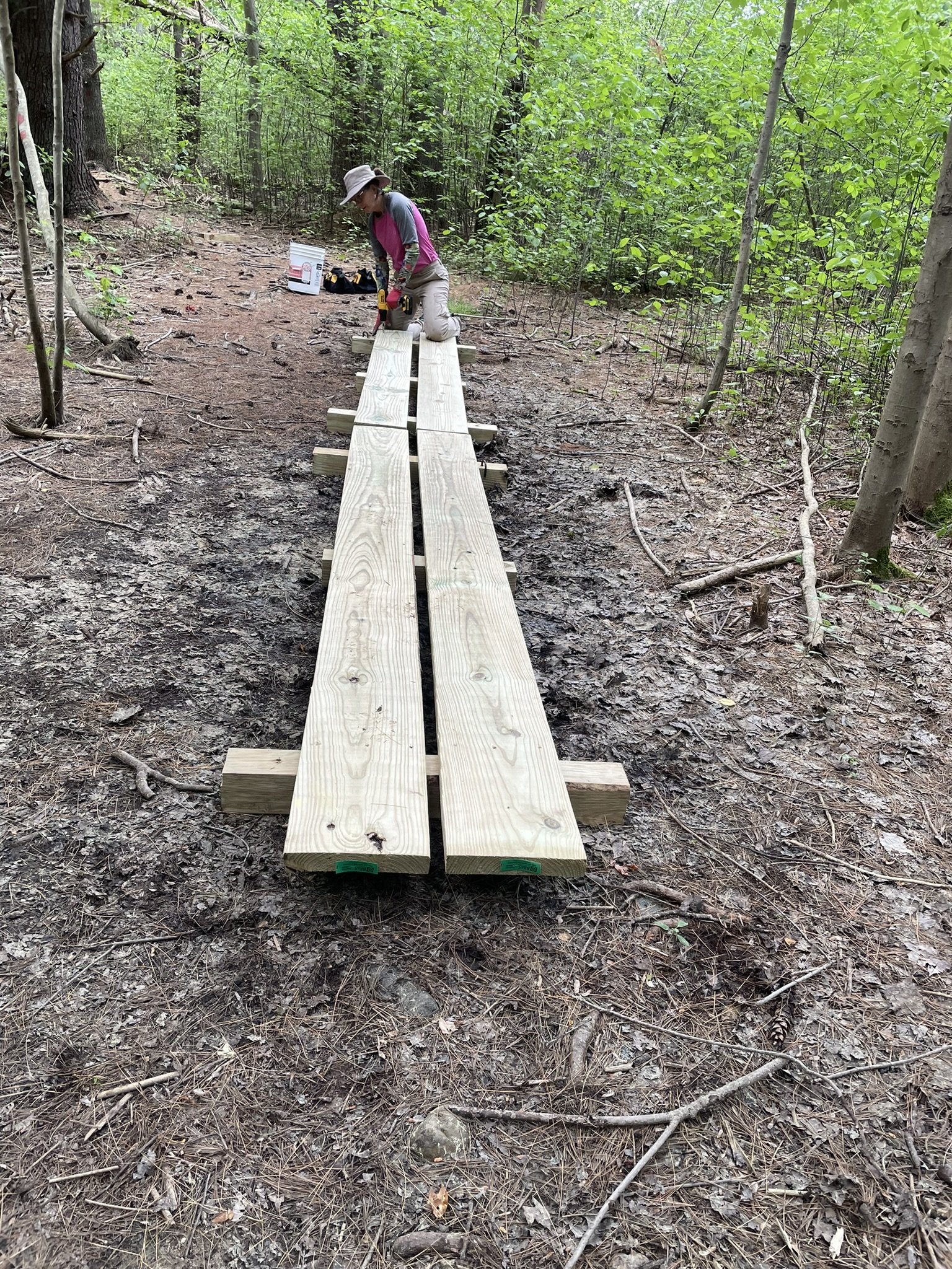 Poor Meadow Conservation Area