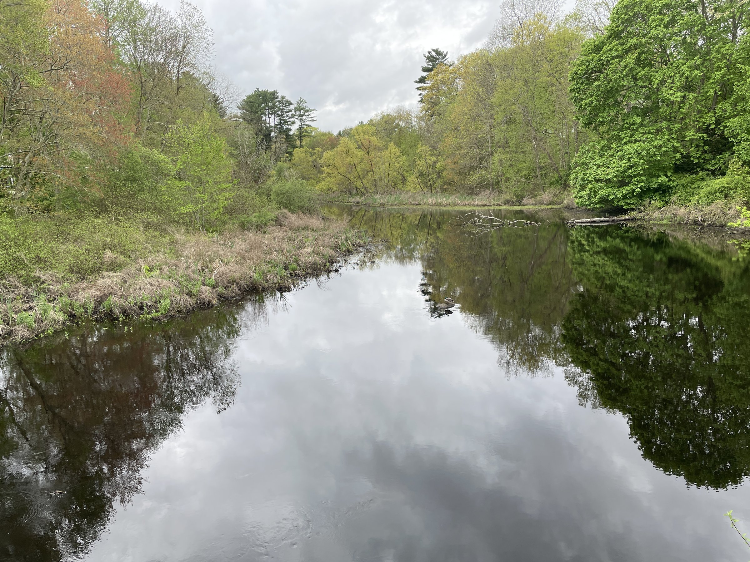 Rocky Run Conservation Area