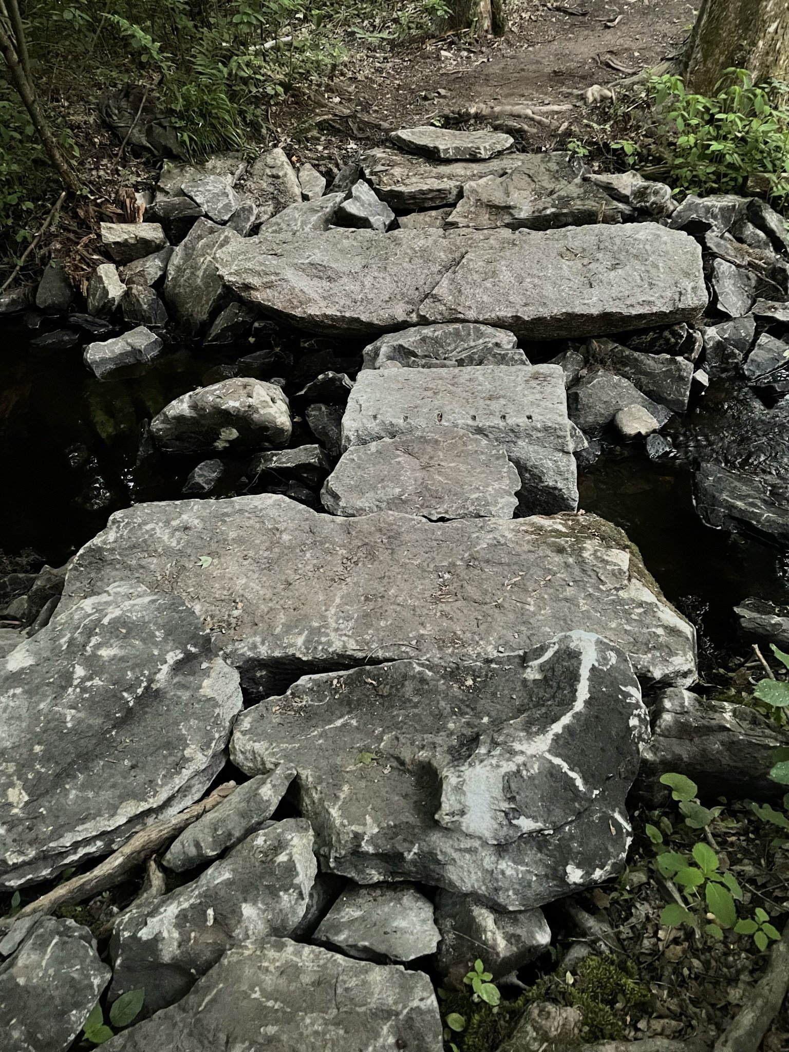 Rocky Run Conservation Area