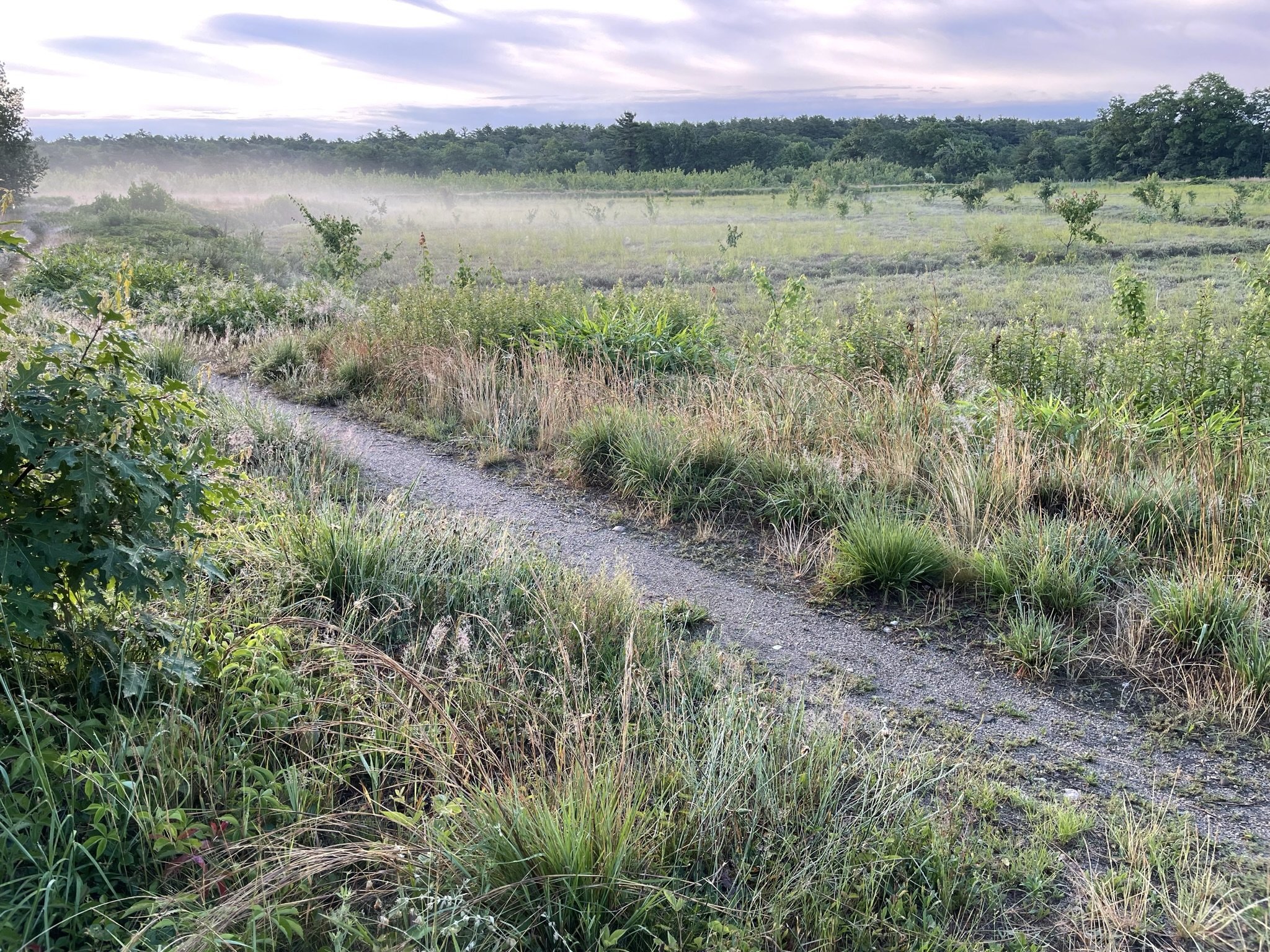 Alton J. Smith Reserve