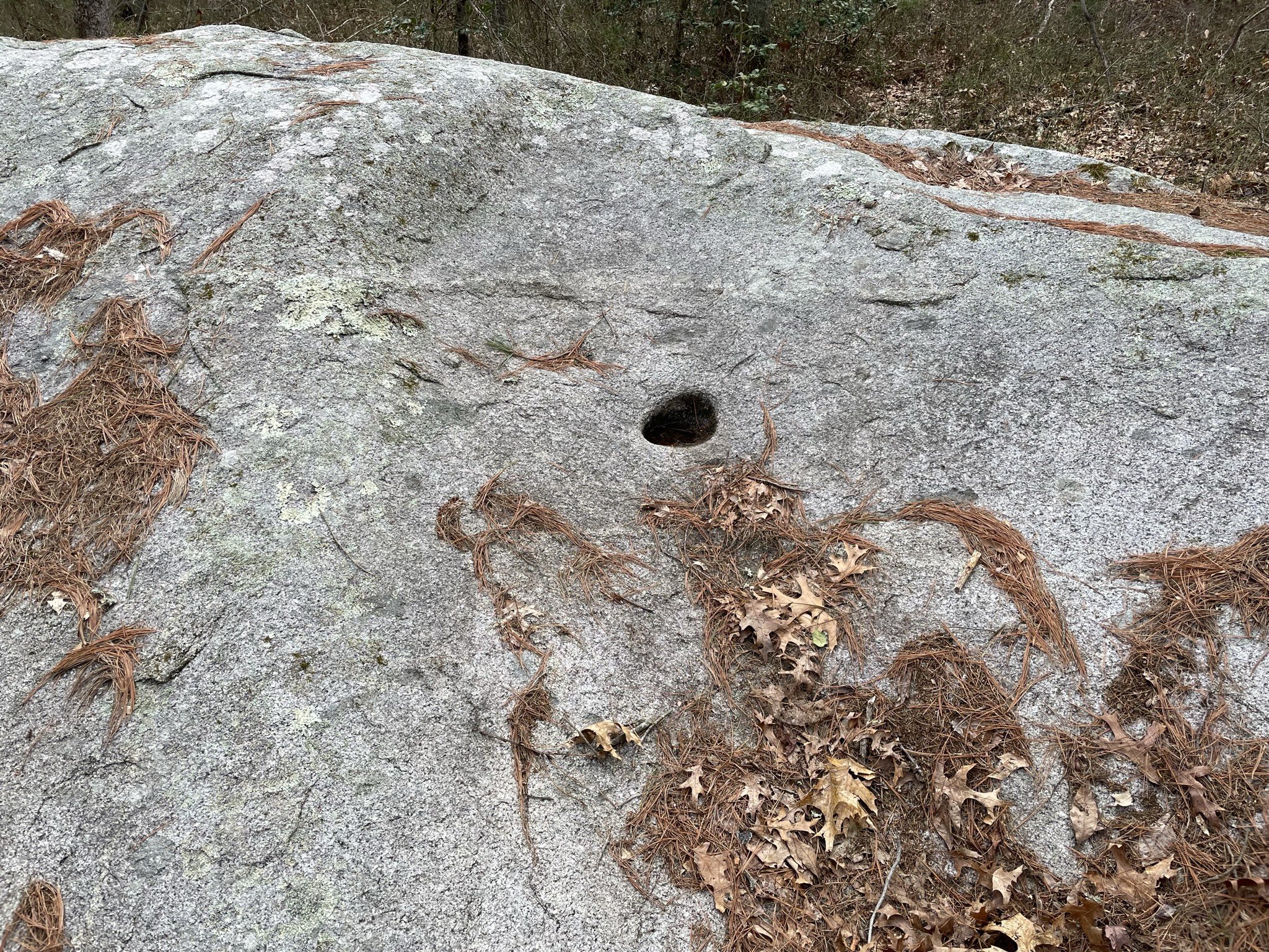 Grinding Stone at Smith Nawazelski Conservation Area