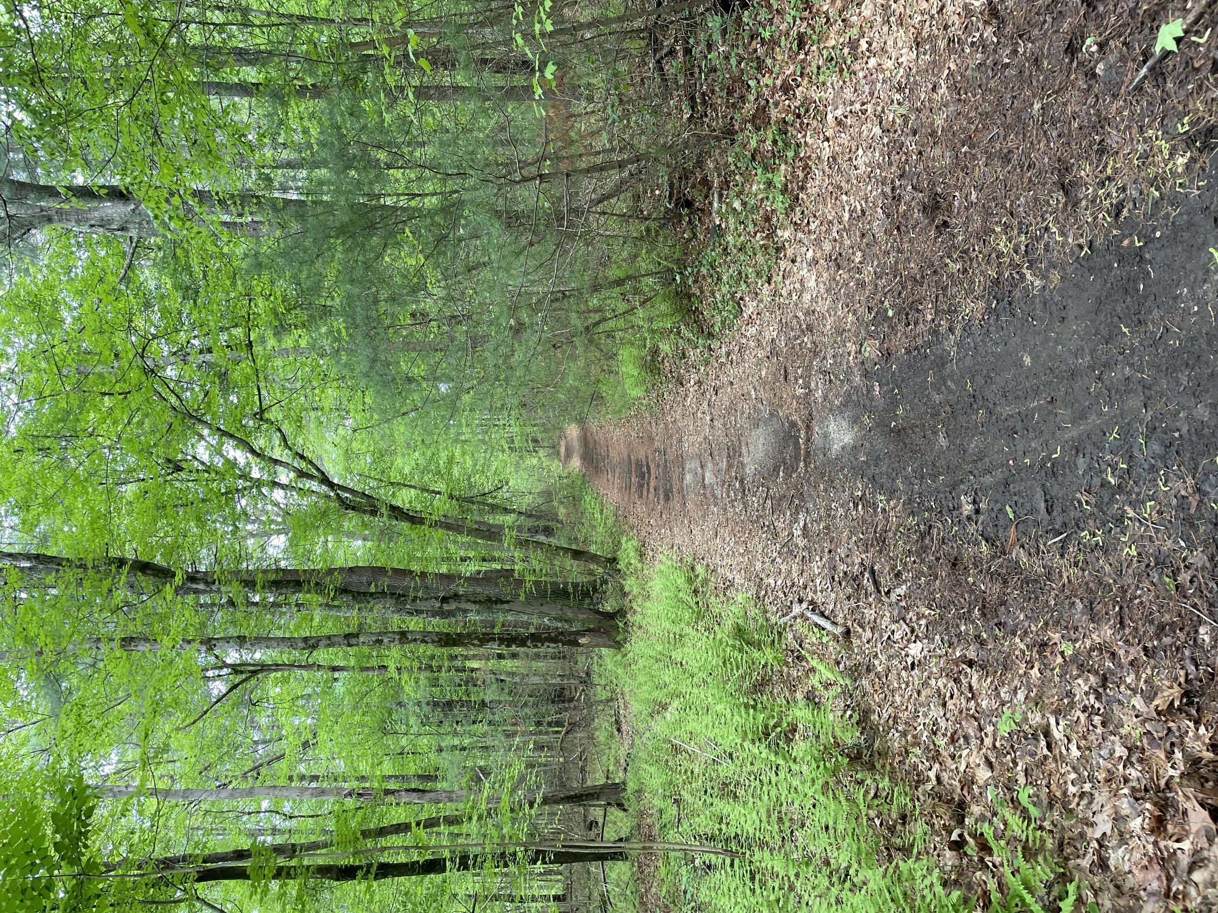 The Sleeper Conservation Area