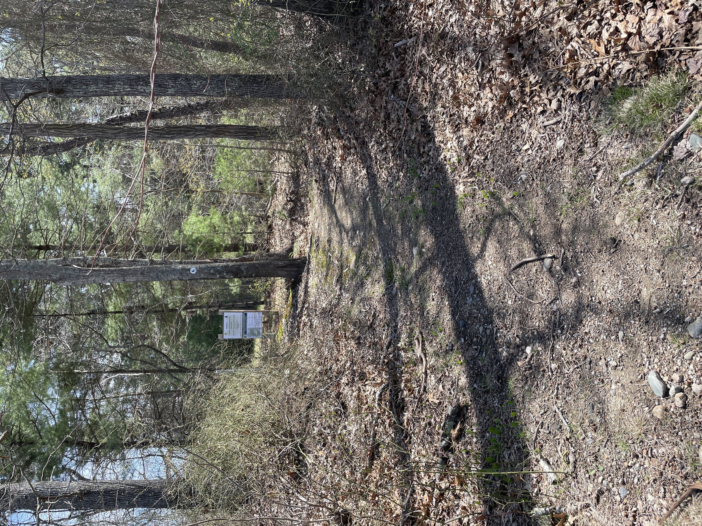 Town Forest Conservation Area