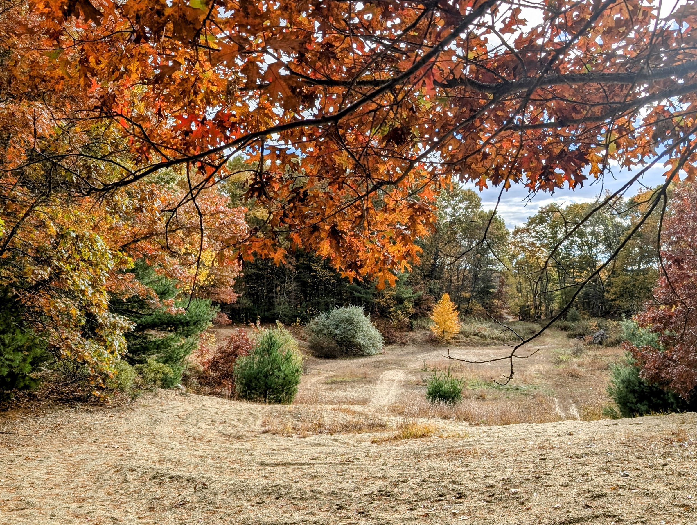 Alton J. Smith Trail in Fall