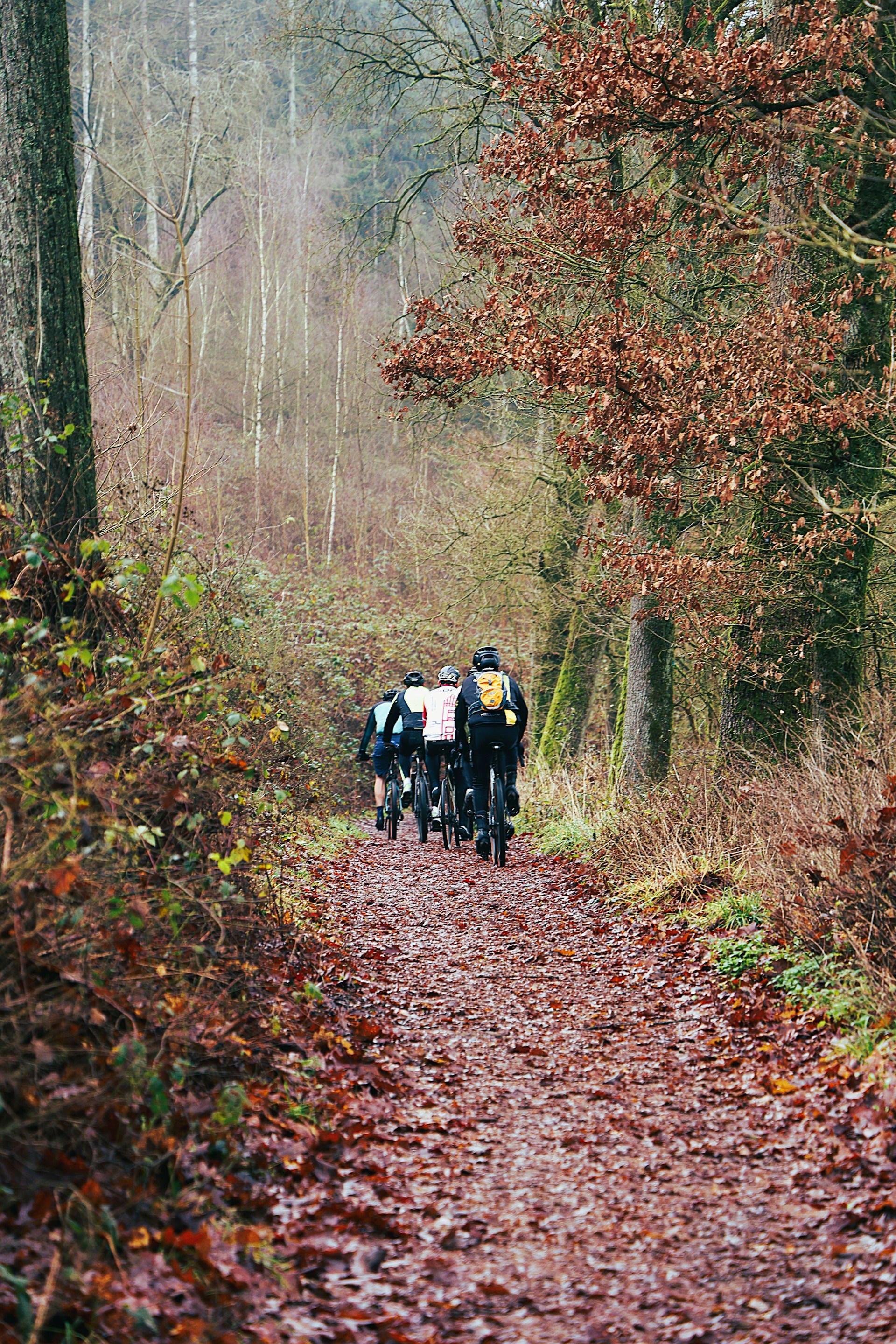 Biking on trail