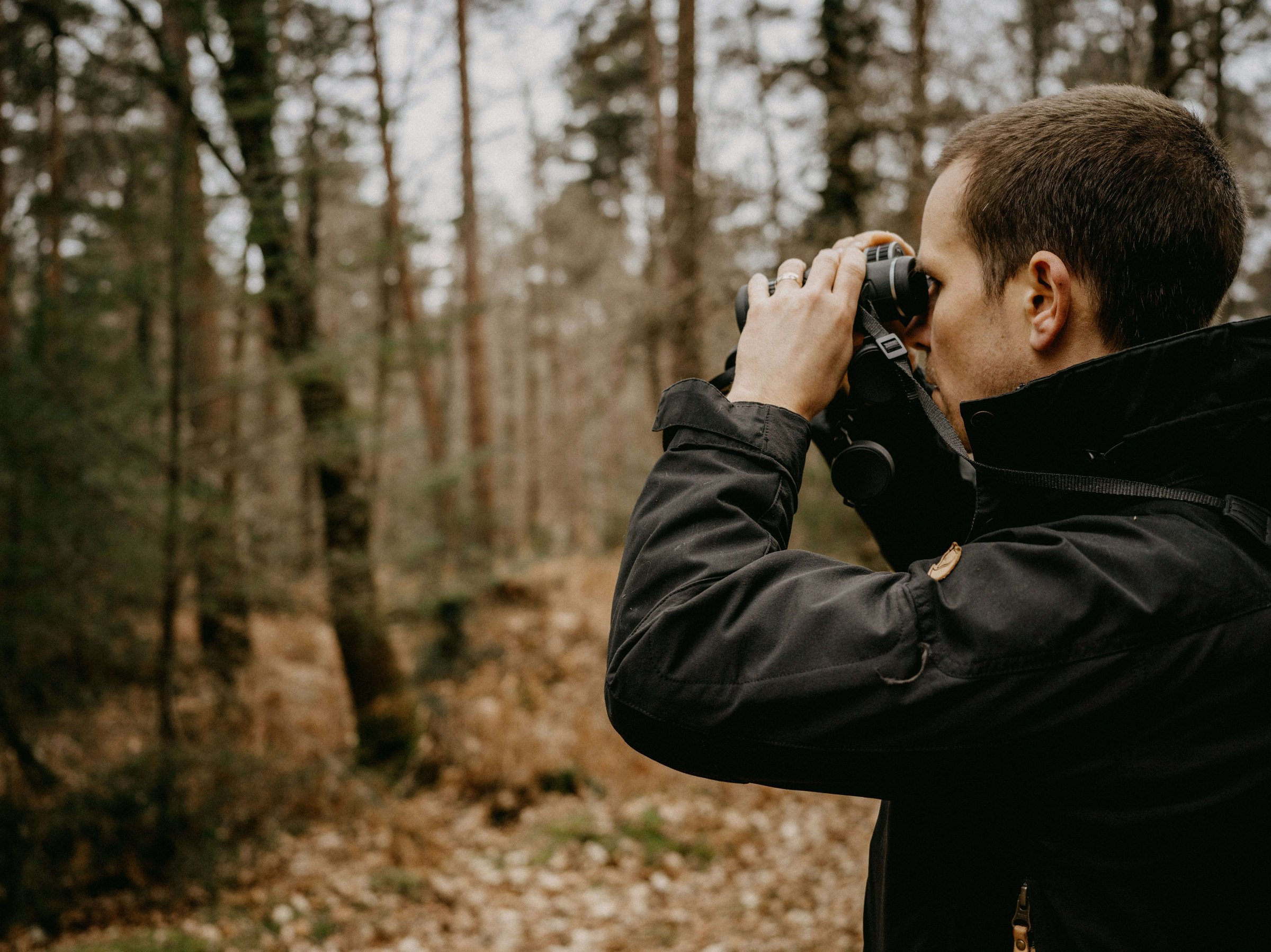 Birdwatching with binoculars