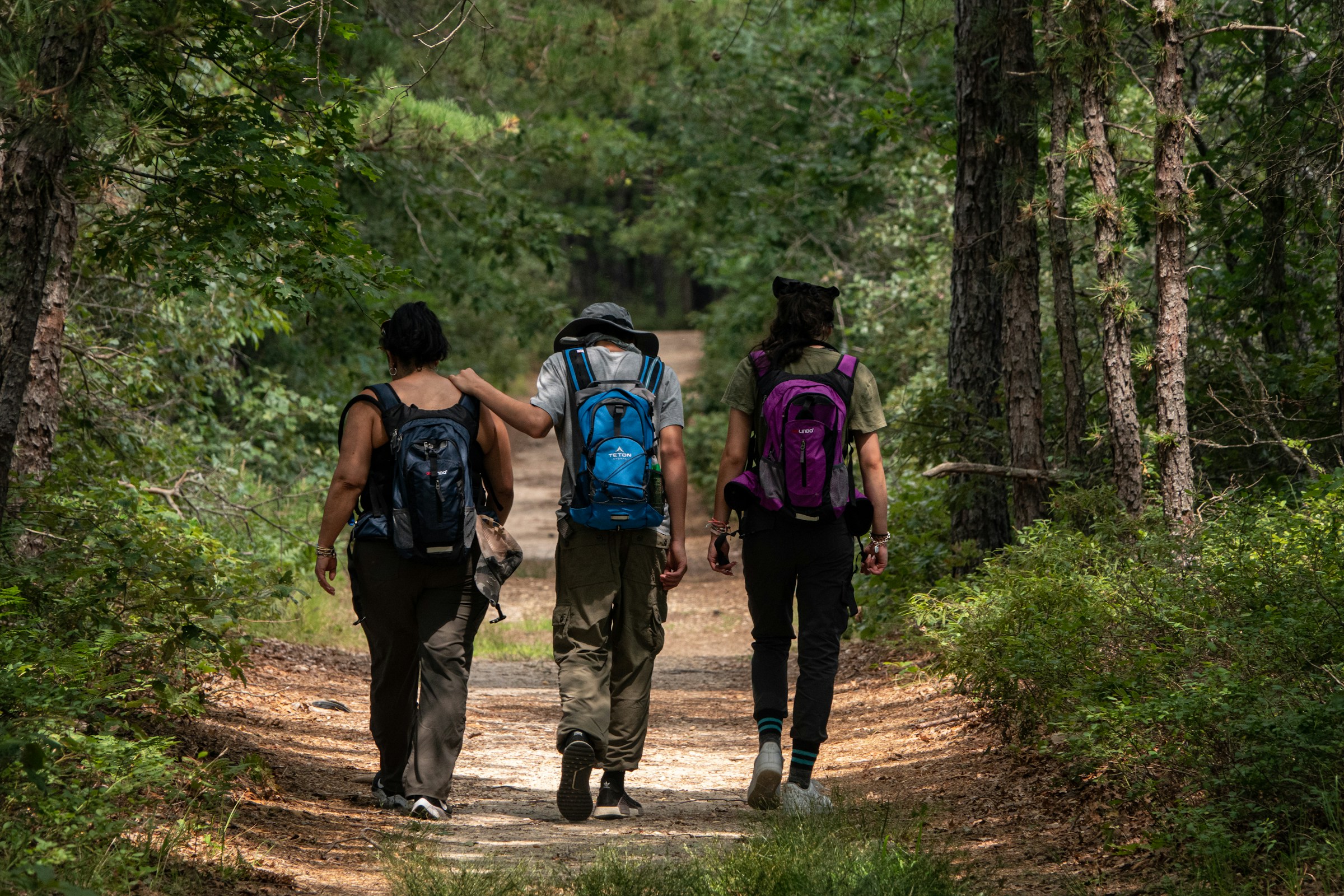 Family hiking in the woods